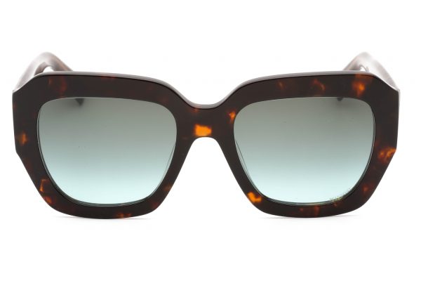MIS 0079/S - Image 2