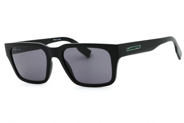 L6004S