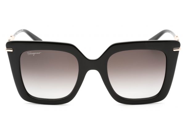 SF1041S - Image 2