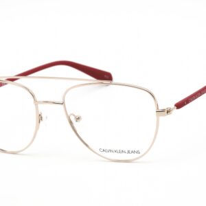 CKJ19308